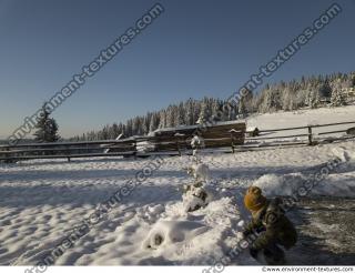 background forest winter 0006